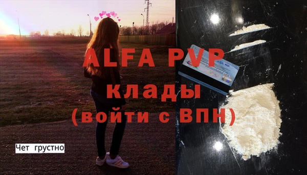 мяу мяу мука Михайловск