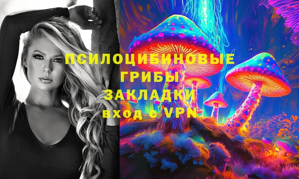 мяу мяу мука Михайловск